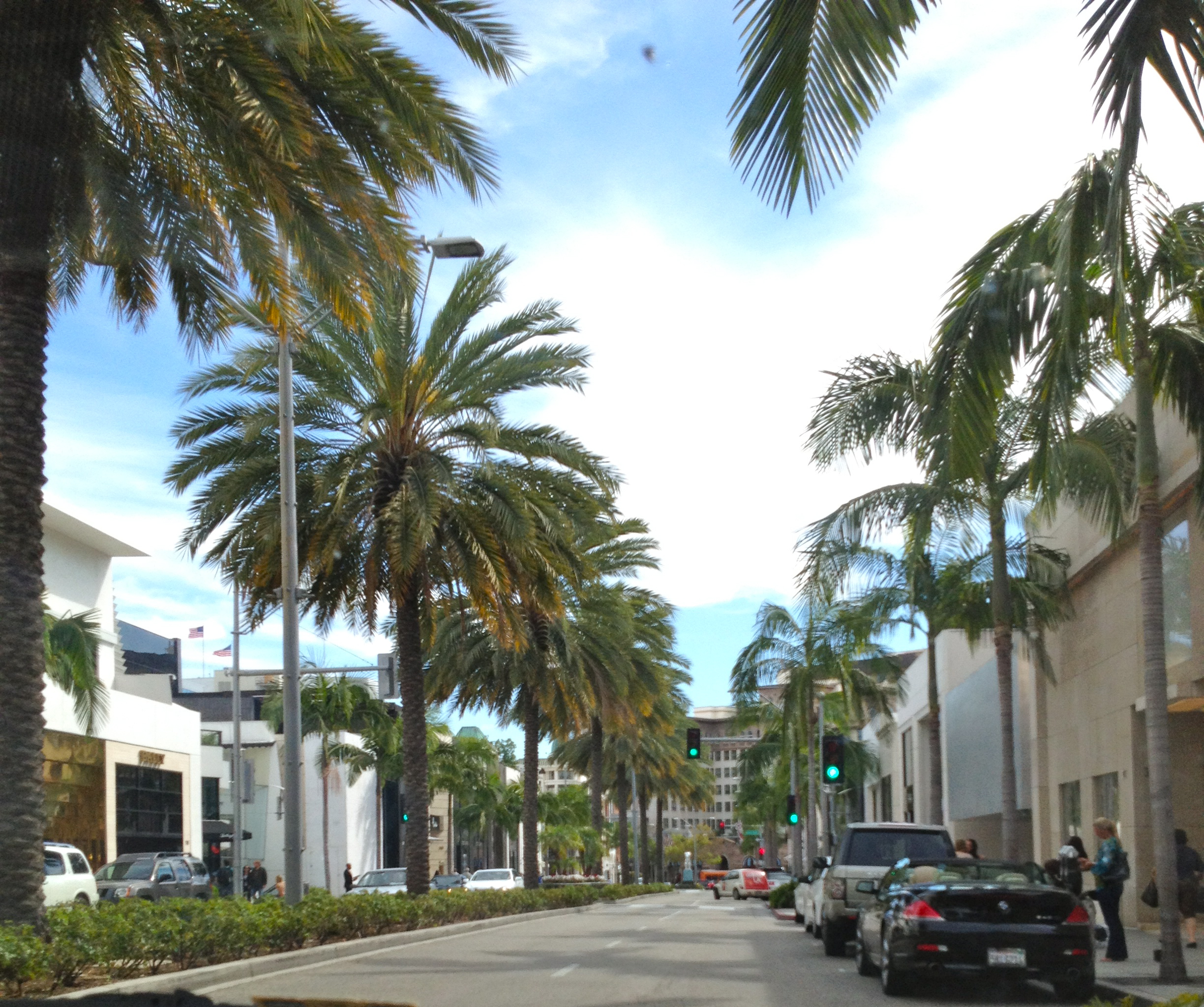 Palm trees lining Rodeo Drive in Beverly Hills